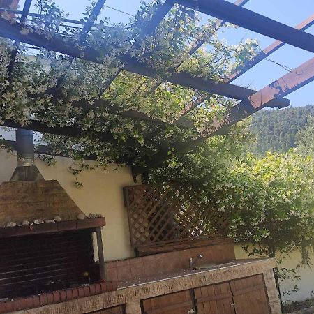 Diogenis Villa Vourvourou Exteriör bild
