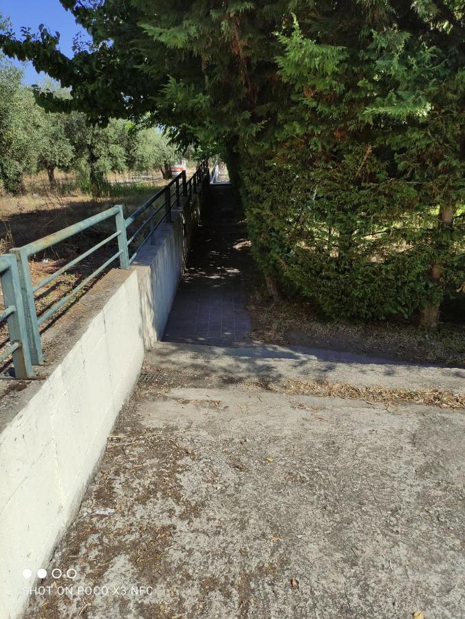 Diogenis Villa Vourvourou Exteriör bild