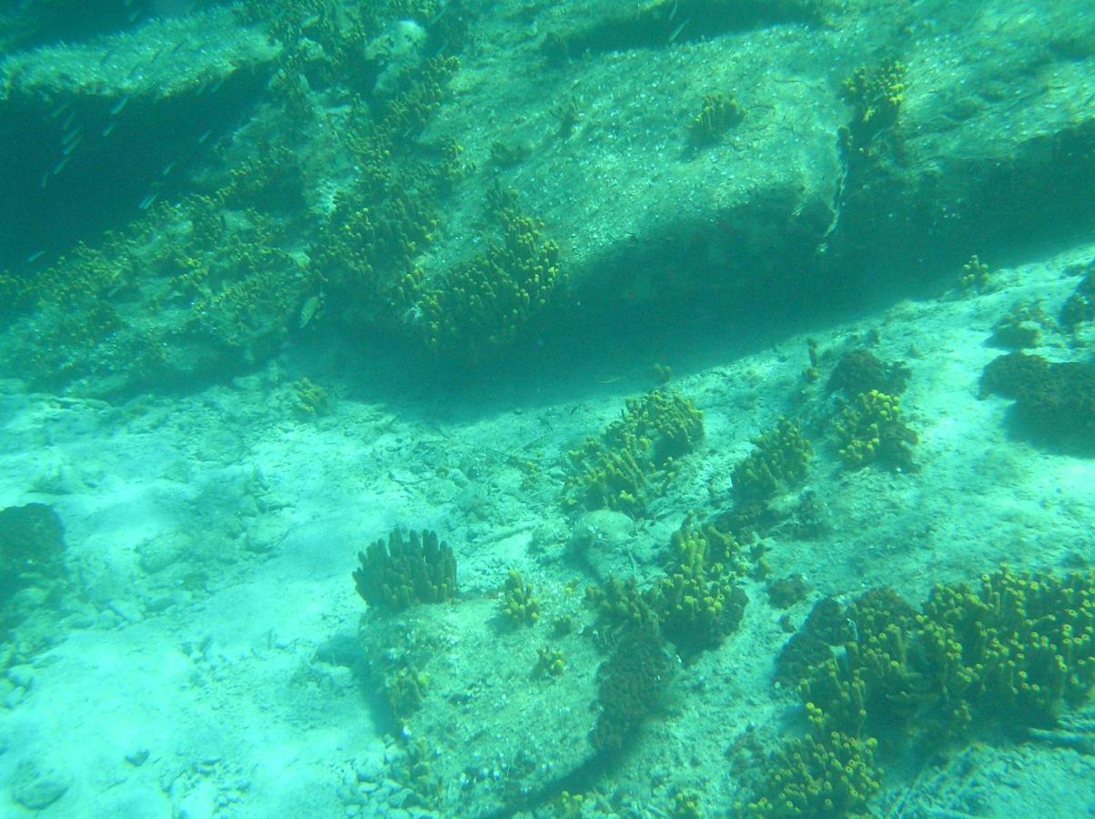 Diogenis Villa Vourvourou Exteriör bild